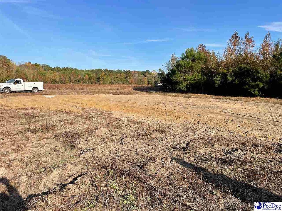 3105 Cash Rd, Johnsonville, SC 29555 MLS 20240417 Zillow