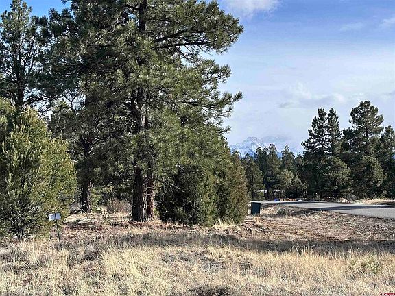 2nd image of 1960 Marmot Drive