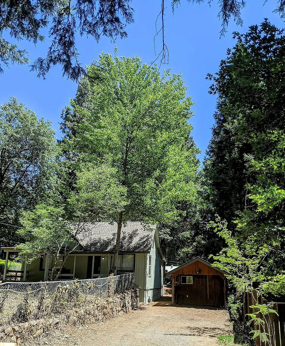 2 bed, 1100 sqft, $2,200 — Photo 3