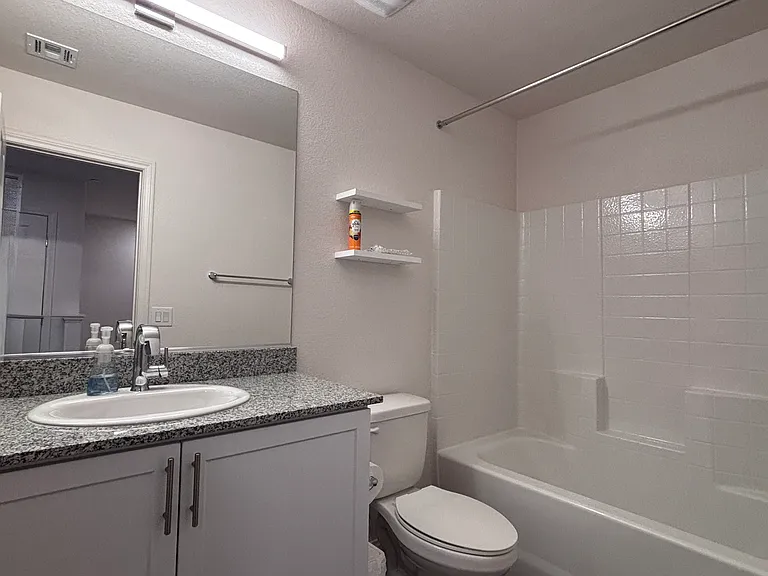 2833 Champagne Gold Ave — Photo 9