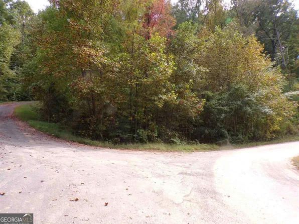 17 Sutton Cv, Hiawassee, GA 30546