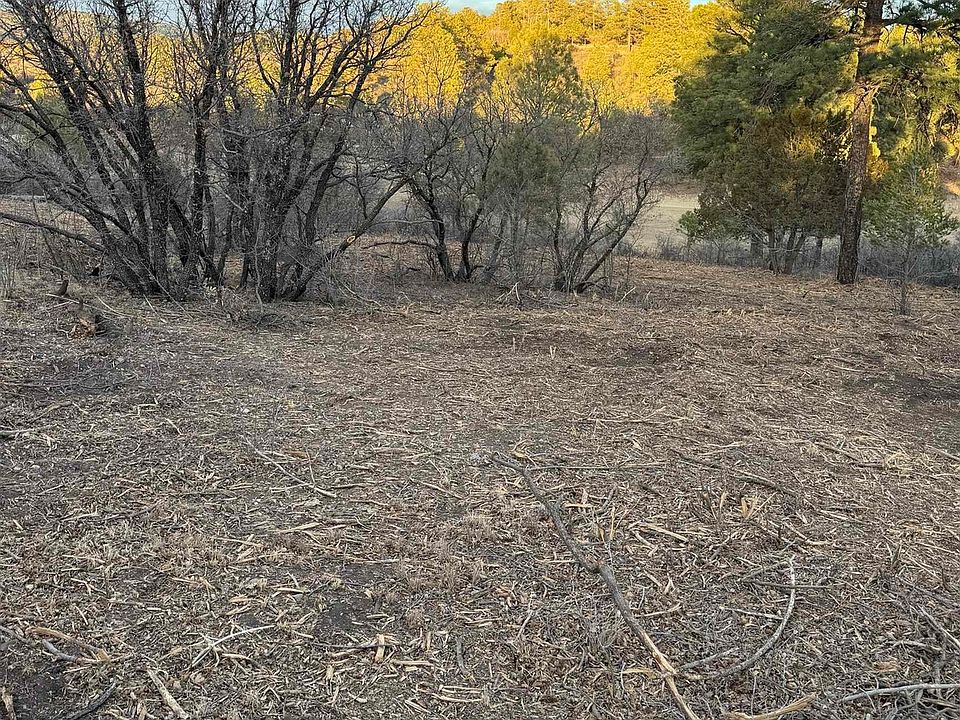 2nd image of 161 Eldrado Dr
