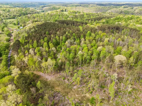2 Pleasant Ridge Rd, Goodspring, TN 38460