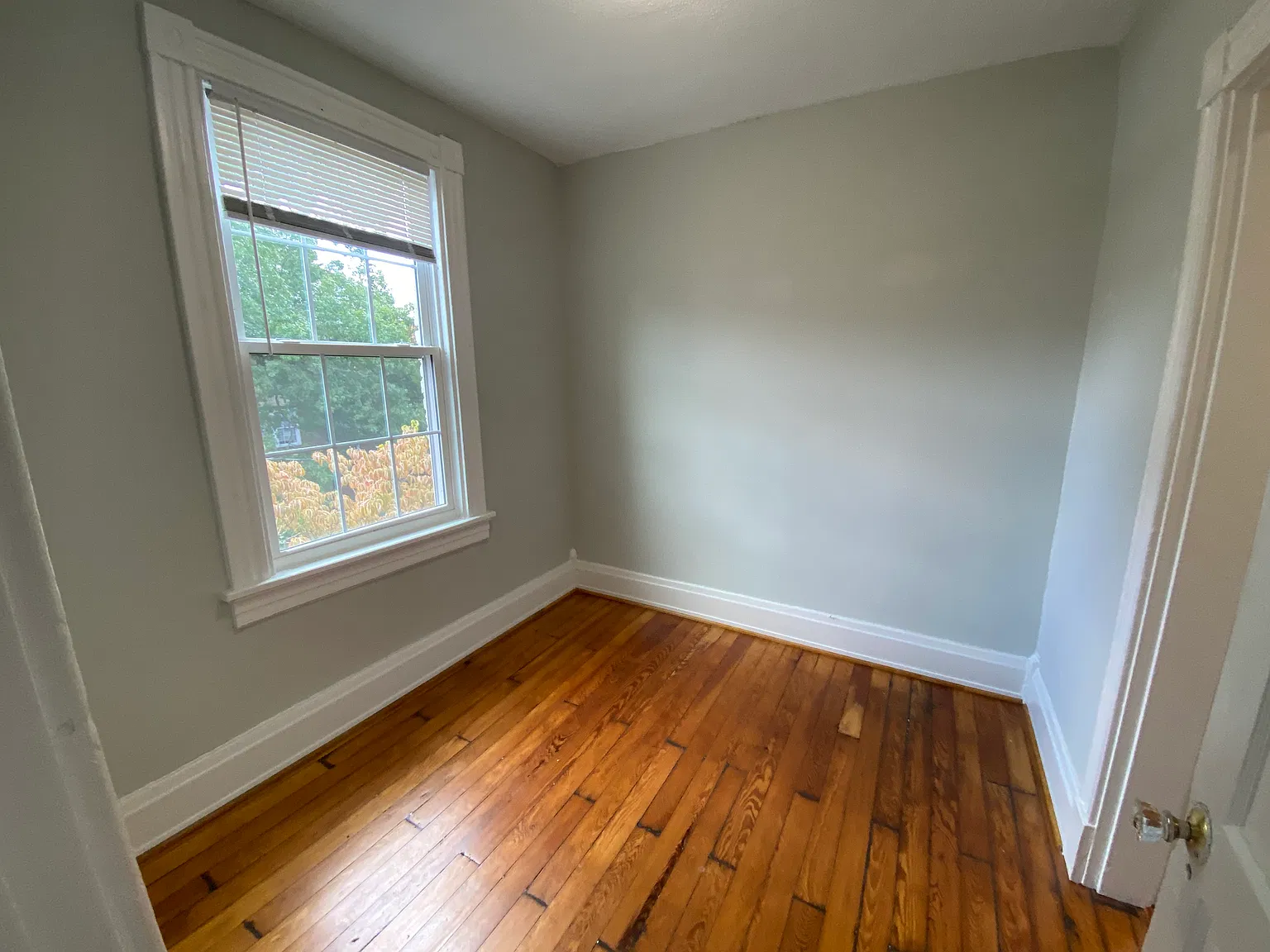 2 bed, 600 sqft, $1,600 — Photo 4