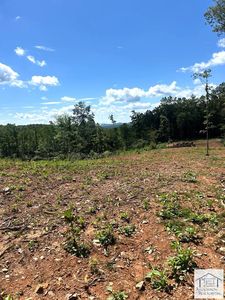 0 Woods Gap Rd, Woolwine, VA, 24185