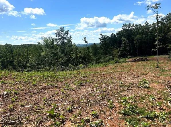 0 Woods Gap Rd, Woolwine, VA 24185