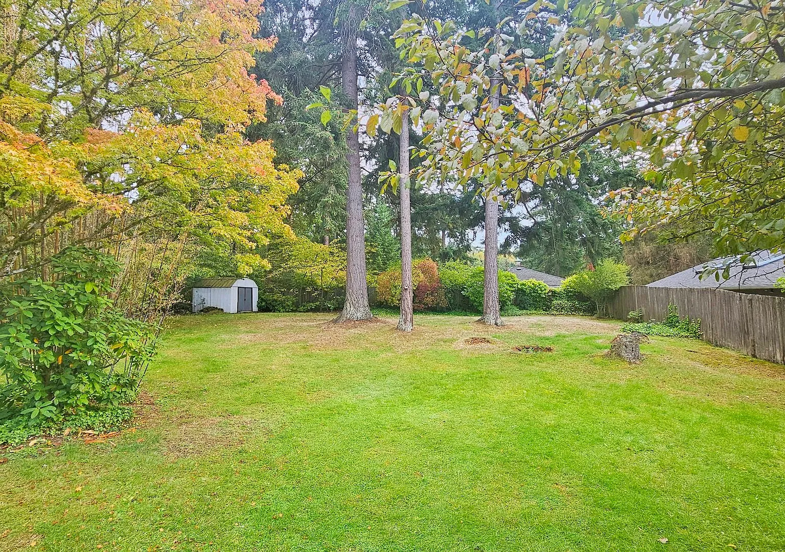 Beautifully Remodeled 3 Bed 2 Bath Rambler in Eastgate, Bellevue — Photo 3