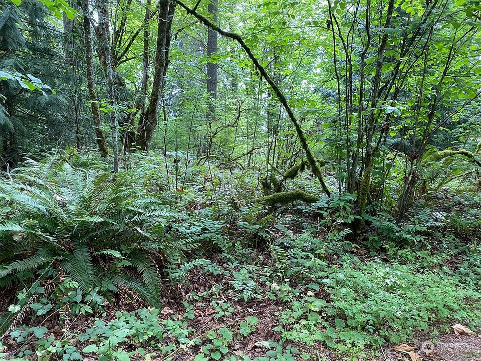2nd image of 0 174th Avenue
