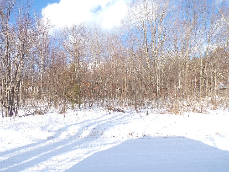 2nd image of Maple Rd