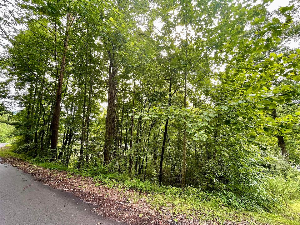 2nd image of TRACT 1 & 2 Harbell Heights Rd