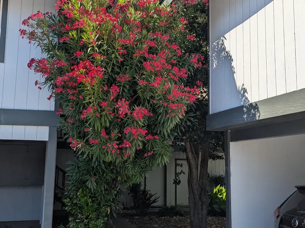 877 Sonoma Ave #18, Santa Rosa, CA 95404