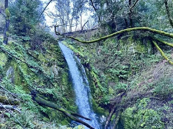 33022 Rancho San Carlos Rd, Carmel, CA 93923