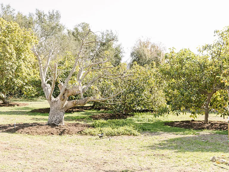 Romero Canyon Rd — Photo 27