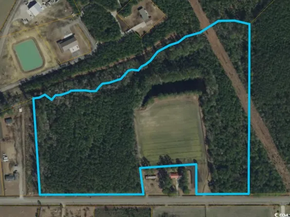 TBD Joyner Swamp Rd., Galivants Ferry, SC 29544