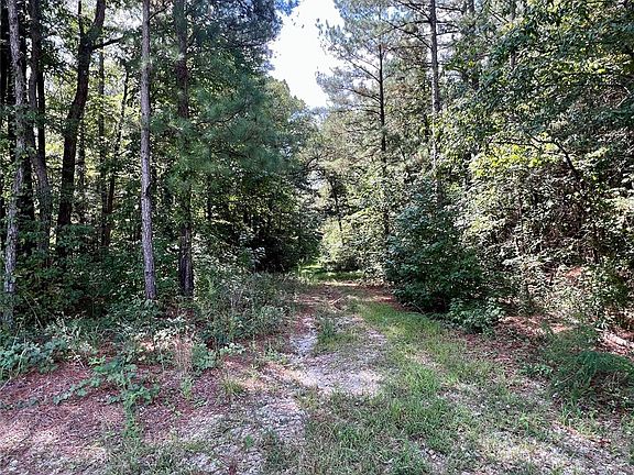 2nd image of 2 Old Greenbriar Dr #11