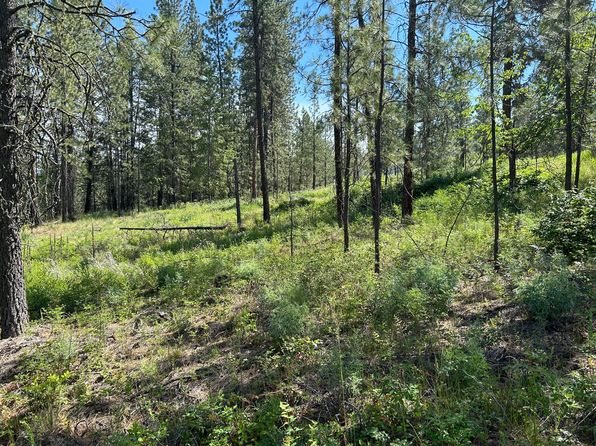 1181 Fumi Cir, Kettle Falls, WA 99141
