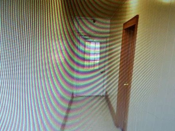 5th image of 1250 Boynton Ave