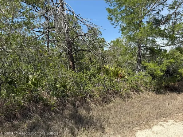 446 Bright Hill Ave, Lake Placid, FL 33852