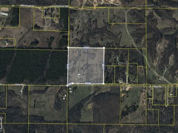 19019 Raby Rd, Harrisburg, AR 72432