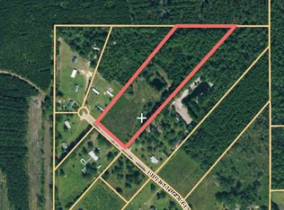 5316 Blue Spruce Rd, Blackshear, GA 31516