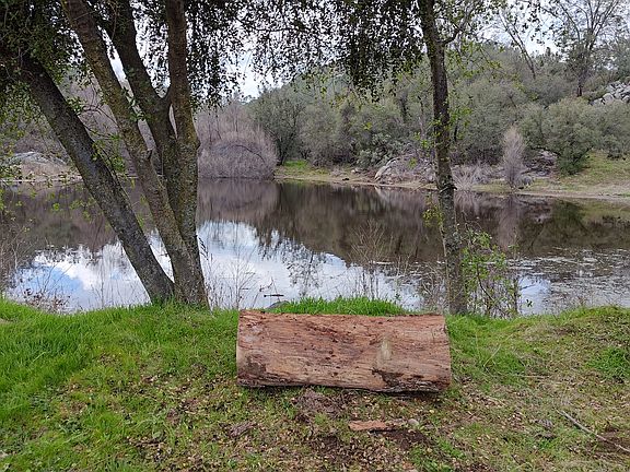 Thinking Log