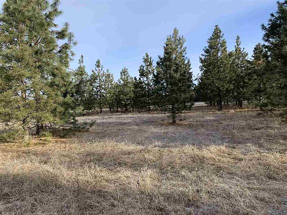 3rd image of 5335B Highway 231