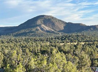 2519 Green Shadows Rd, Durango, CO 81303