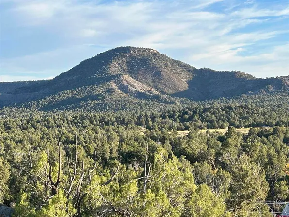 2519 Green Shadows Road, Durango, CO 81303