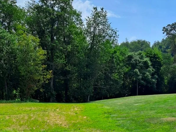 Dipino Dr, Colliers, WV 26035