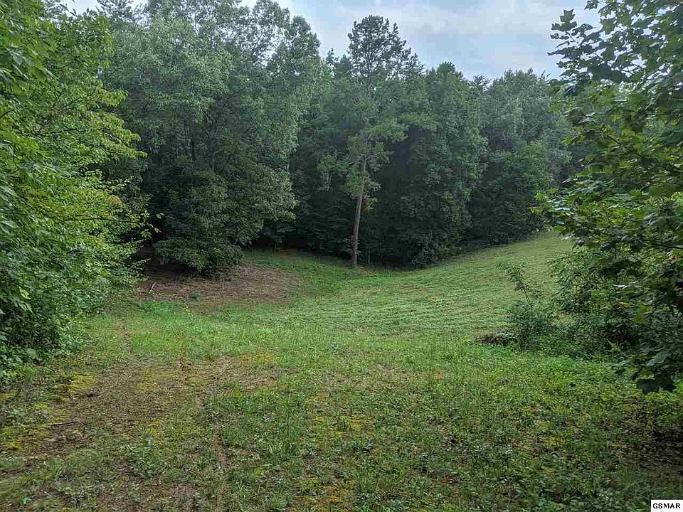 1st image of 0 Blue Springs Rd
