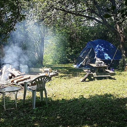 Camping in old Apple Orchard