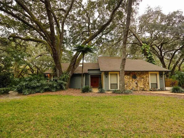 2503 HIGH OAKS LANE, LUTZ, FL 33559