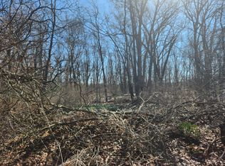 W Connie Dr, Rothbury, MI 49452