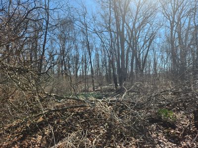 W Connie Dr, Rothbury, MI, 49452