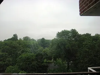 Rented by Kings & Queens