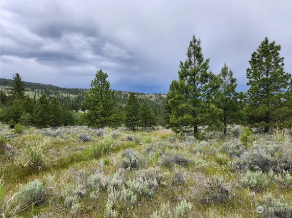 0 TBD Reeves Basin Road, Tonasket, WA 98855