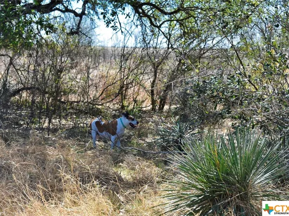 Tracts A&b County Road & Cres #512-411, D Hanis, TX 78850