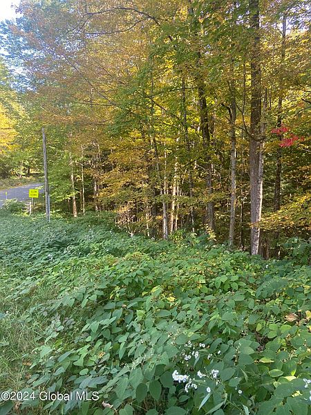 4th image of L34 Fox Hill Road