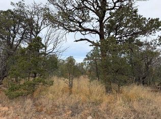 Palomino Dr, Timberon, NM 88350