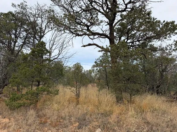 Palomino Dr, Timberon, NM 88350