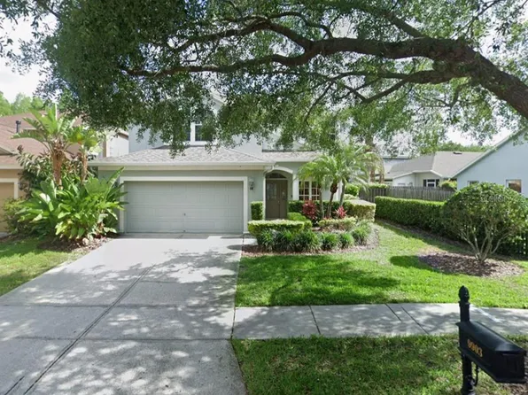 9903 Hartwell Bridge Cir, Tampa, FL 33626