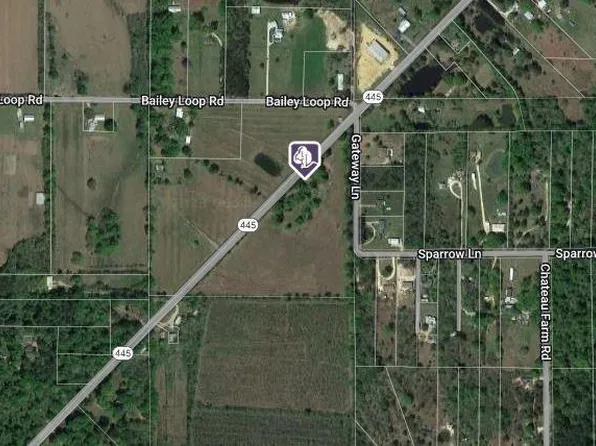 TRACT 1R B Hwy #445, Loranger, LA 70446