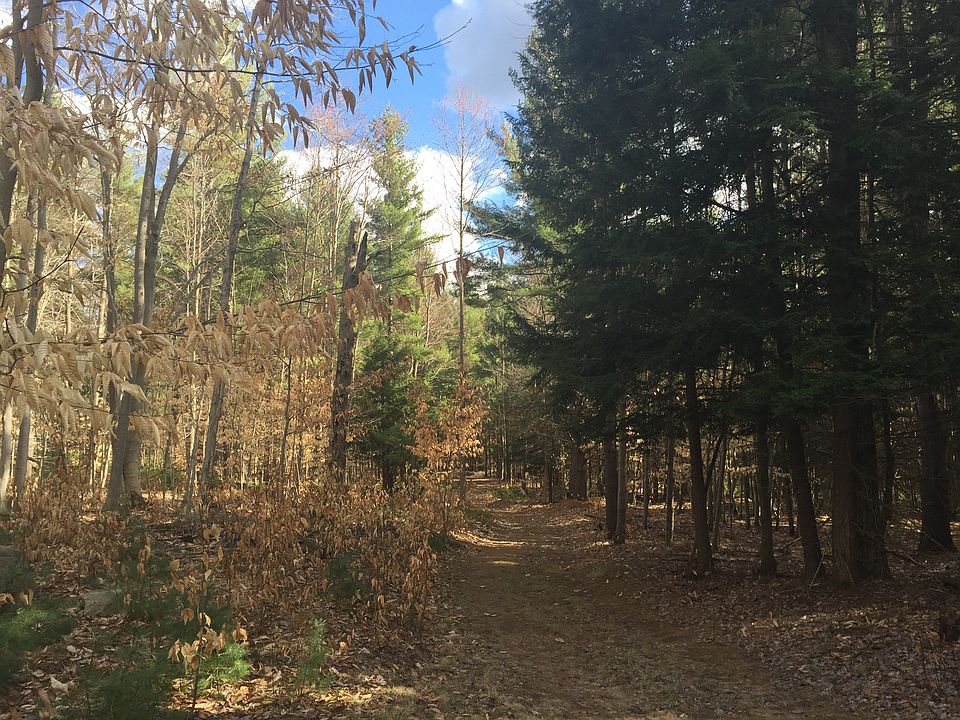 2nd image of E. Side Wetmore Road
