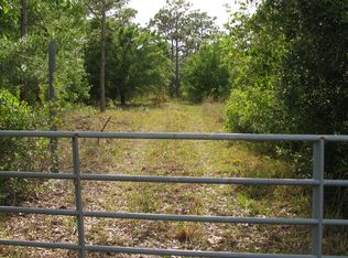 6010 Shakedown St, Saint Cloud, FL 34771