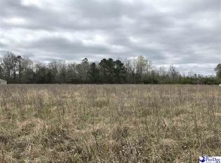 Tbd Olanta Hwy, Effingham, SC 29541