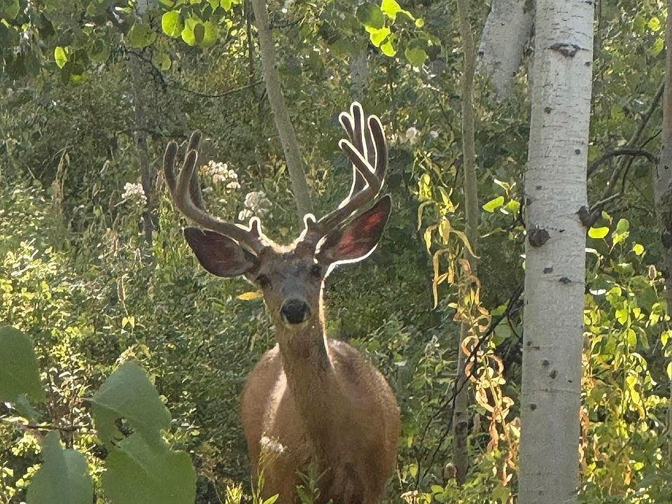1st image of 5762 Aspen Way