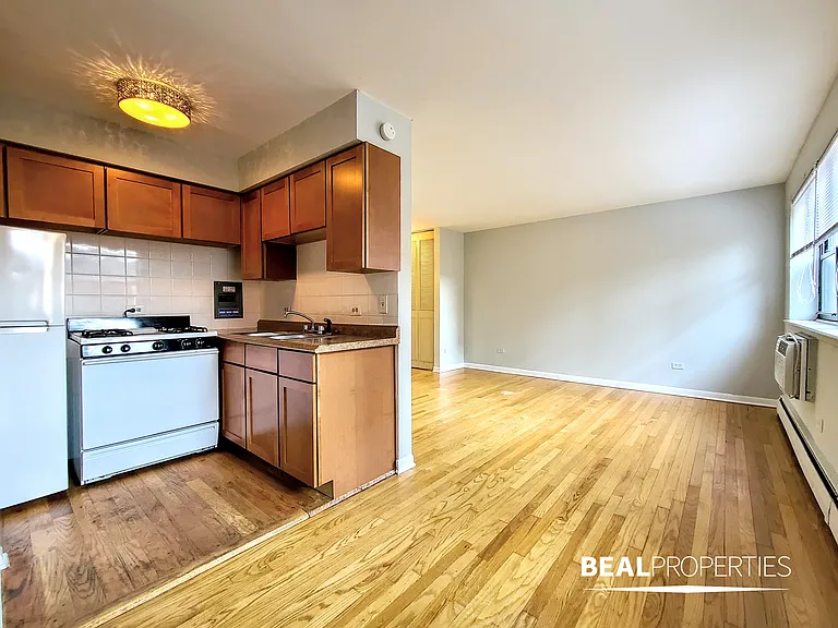 510 West Briar Place — Photo 14