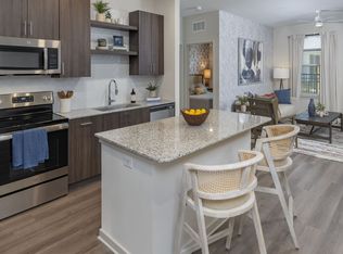 6401 Emmy Ln #211, Wesley Chapel, FL 33544
