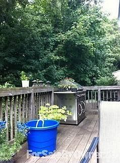 Back deck