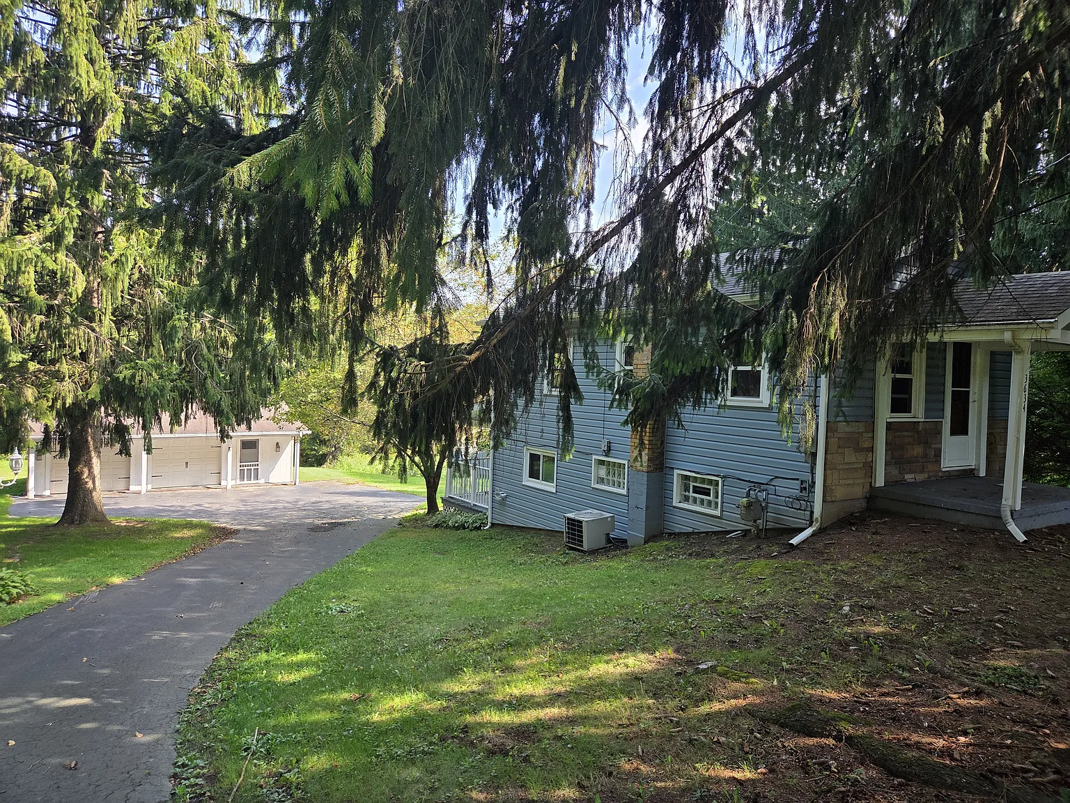 2 bed, 1000 sqft, $1,200 — Photo 2